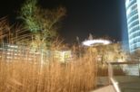 pict0615.jpg