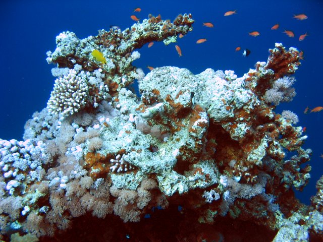 148-4834_img_opt.jpg