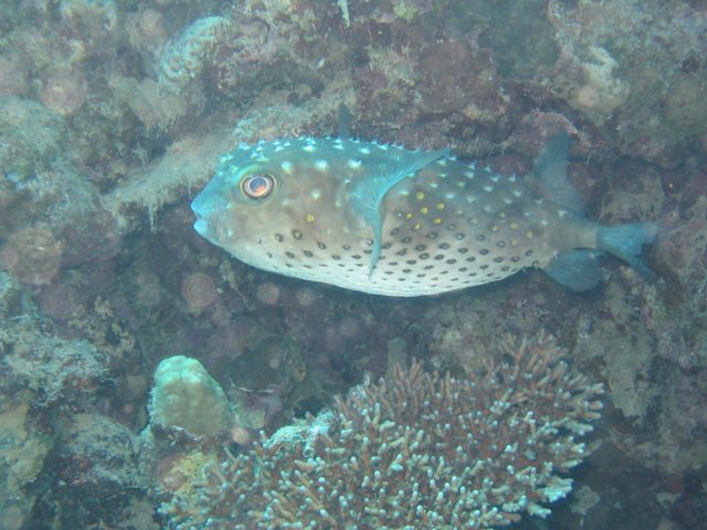 img_0180.jpg