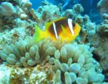 img_0142.jpg