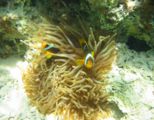 107-0751_img.jpg